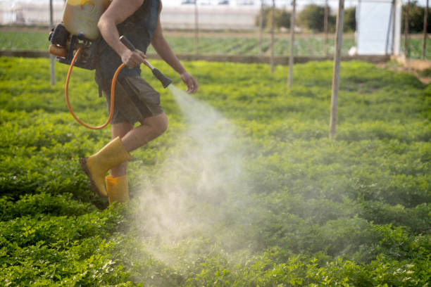Best Affordable Pest Control Services  in Madisonville, TN