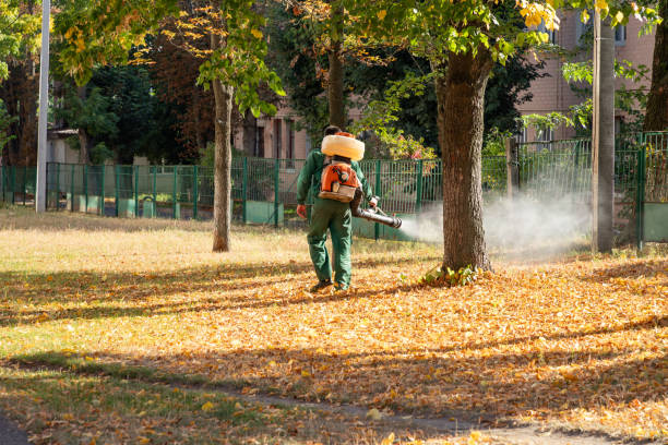 Best Exterminator Services  in Madisonville, TN