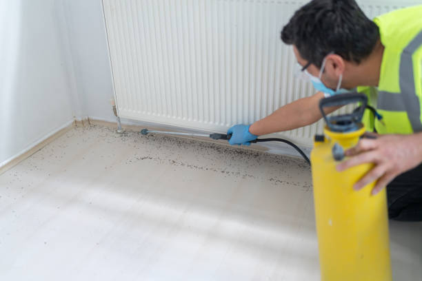 Best Mosquito Control Services  in Madisonville, TN
