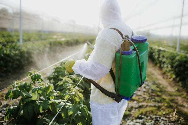 Best Pest Control Treatment  in Madisonville, TN